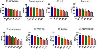 Microorganism-Based Larval Diets Affect Mosquito Development, Size and Nutritional Reserves in the Yellow Fever Mosquito Aedes aegypti (Diptera: Culicidae)